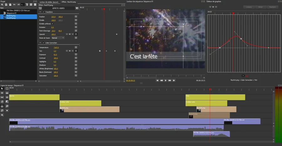 Ligne de temps d'un logiciel de montage avec une piste vidéo et une piste audio